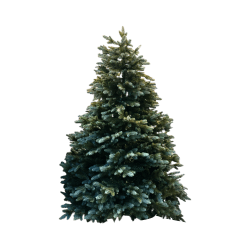 Green christmas tree 180cm 25GS068